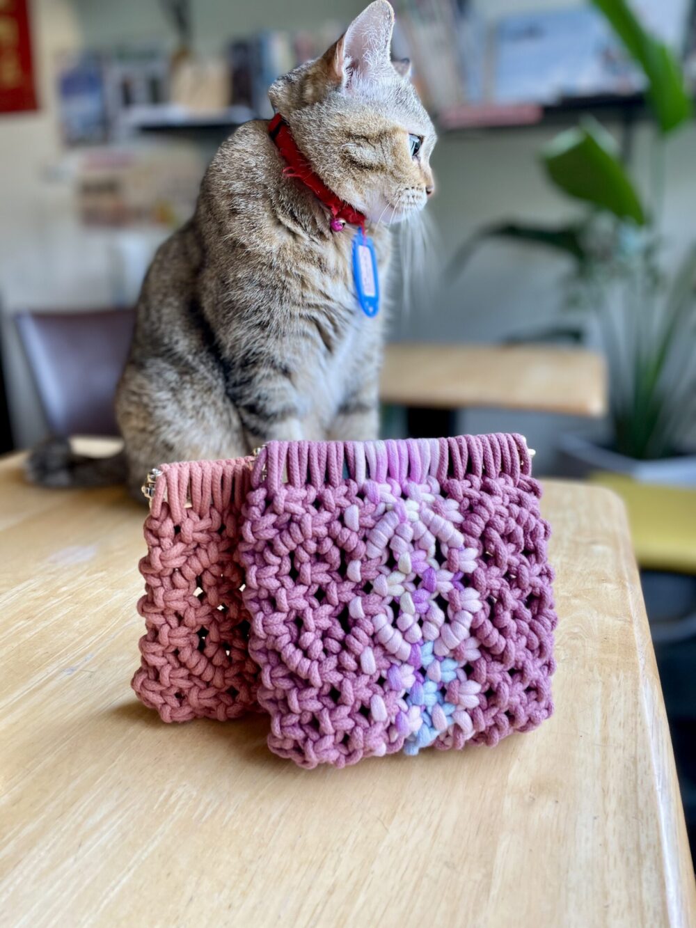 初階  { 任你裝 彈片口金包 }